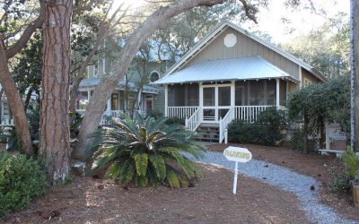 Goodnight Moon in the Heart of Grayton Beach