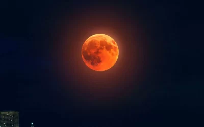 Walton County Events this March!