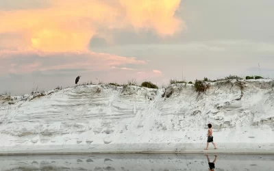 Three State Parks Not to Miss in Walton County