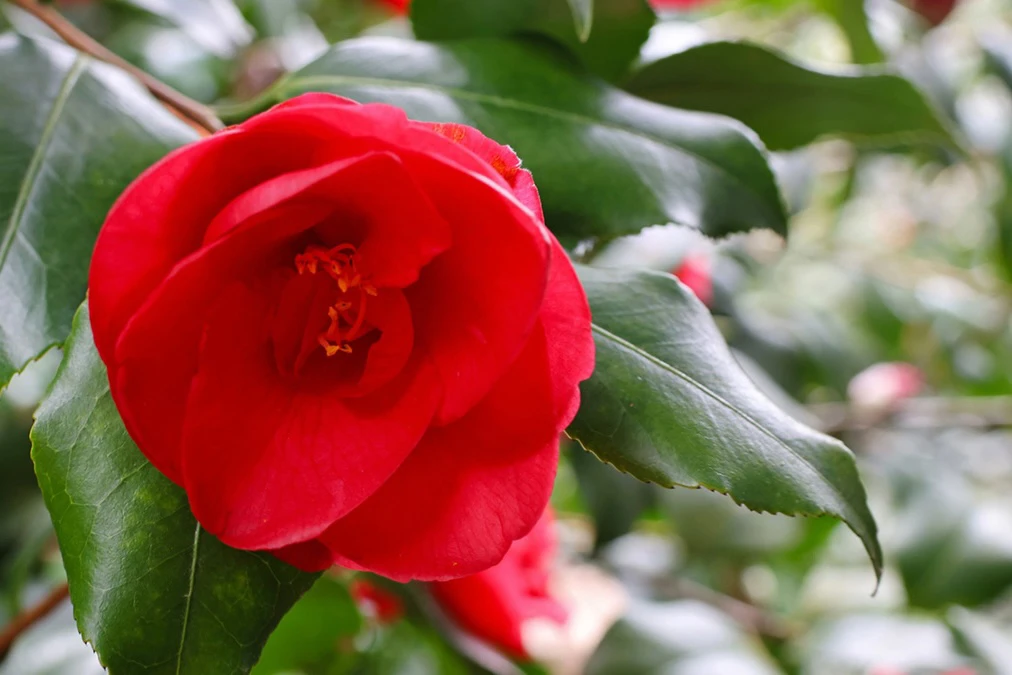 February Events Along 30A